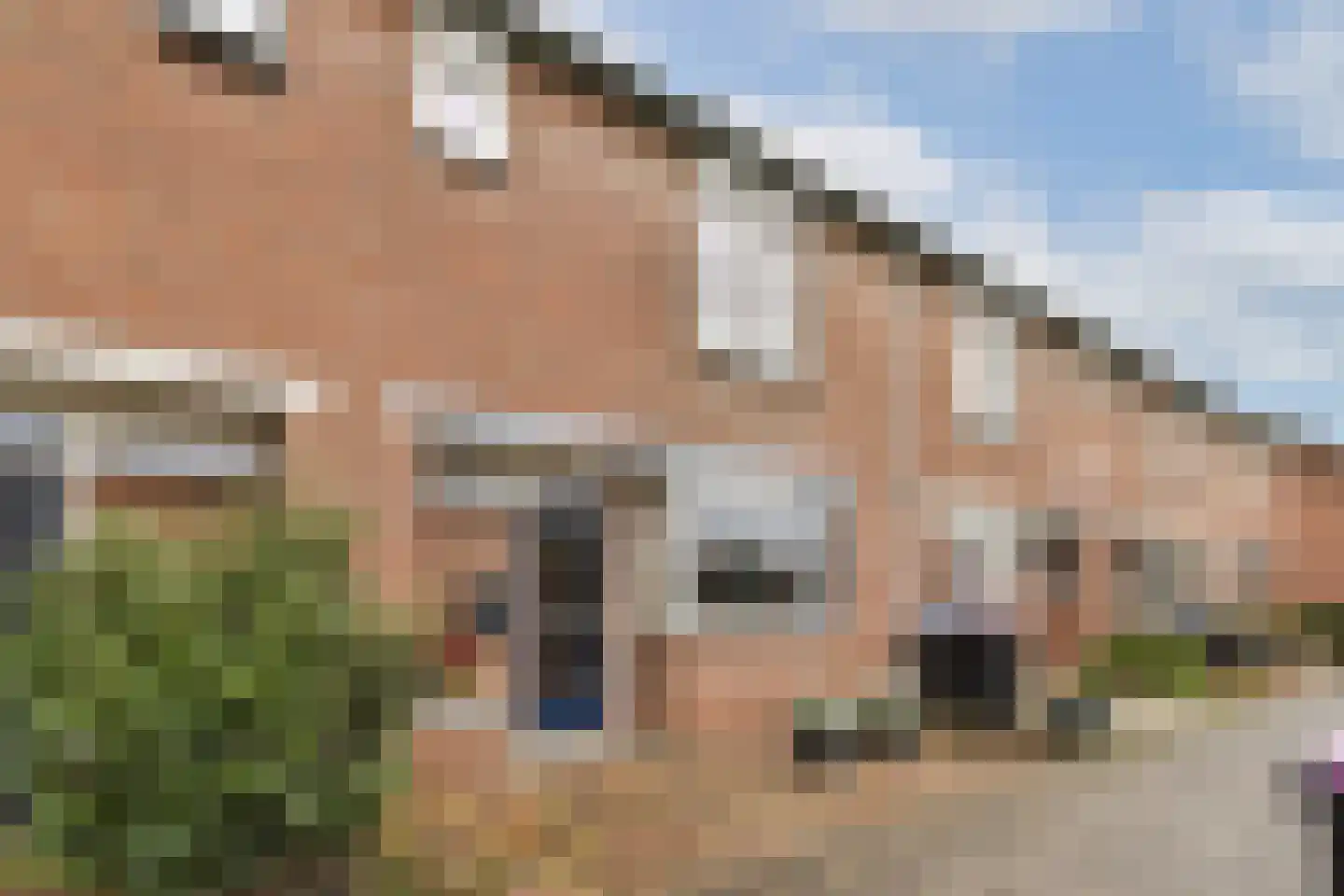 Pluimgras 16 Spijkenisse thumbnail 27