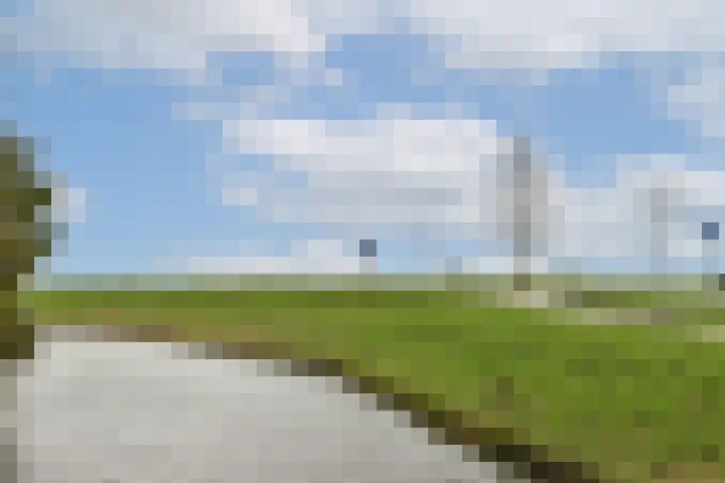 Pluimgras 16 Spijkenisse thumbnail 28