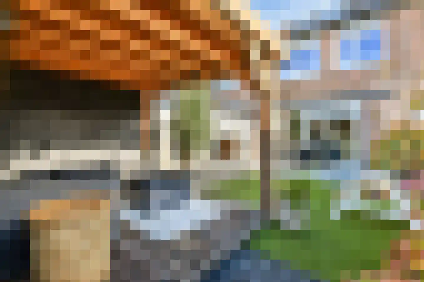 Pluimgras 16 Spijkenisse thumbnail 5