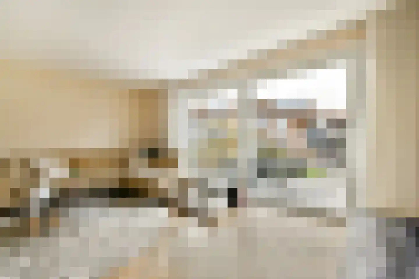 Pluimgras 16 Spijkenisse thumbnail 6