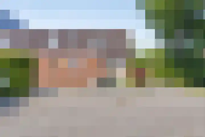 Pluimgras 45 Purmerend thumbnail 6