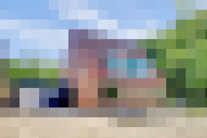 Pluimpot 12 in Hansweert