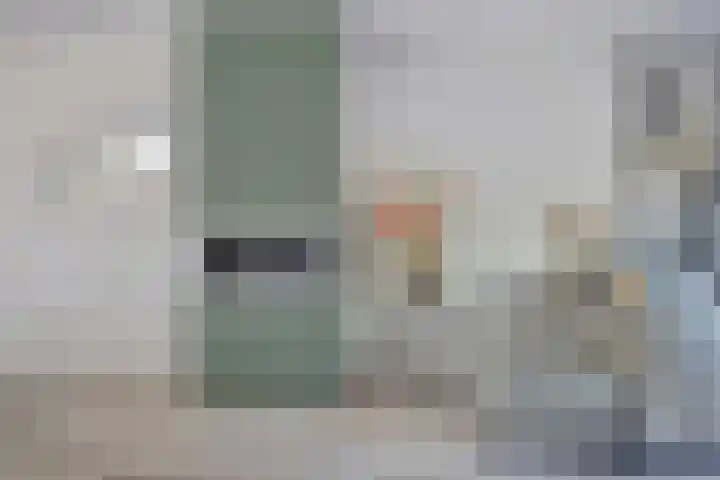 Pluimpot 12 Hansweert thumbnail 10