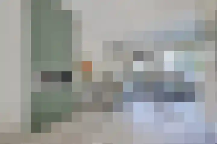 Pluimpot 12 Hansweert thumbnail 11