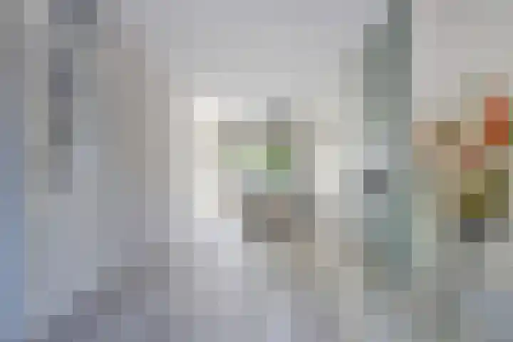 Pluimpot 12 Hansweert thumbnail 12