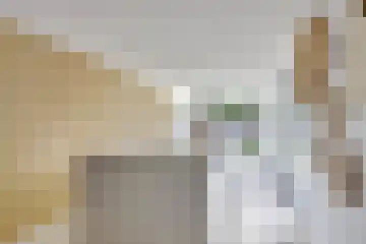 Pluimpot 12 Hansweert thumbnail 14