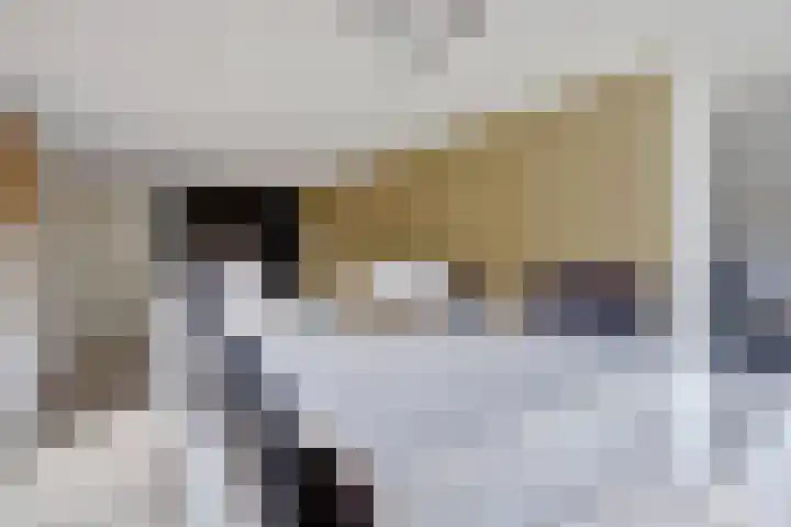 Pluimpot 12 Hansweert thumbnail 16