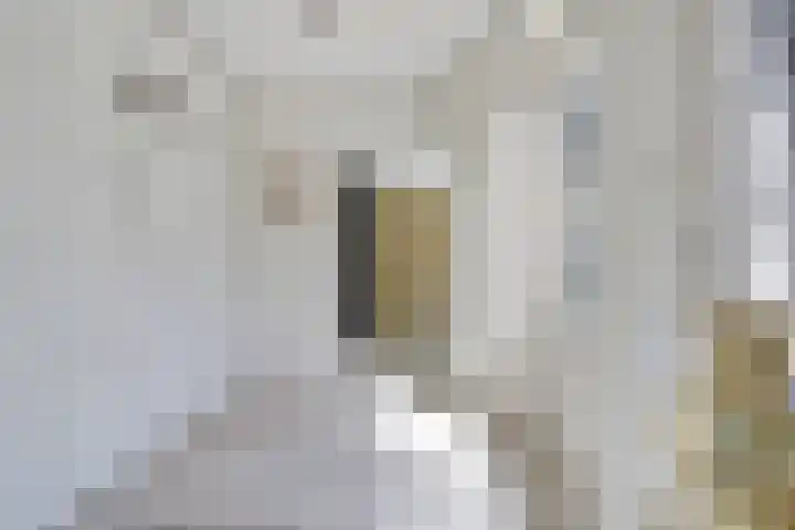 Pluimpot 12 Hansweert thumbnail 18