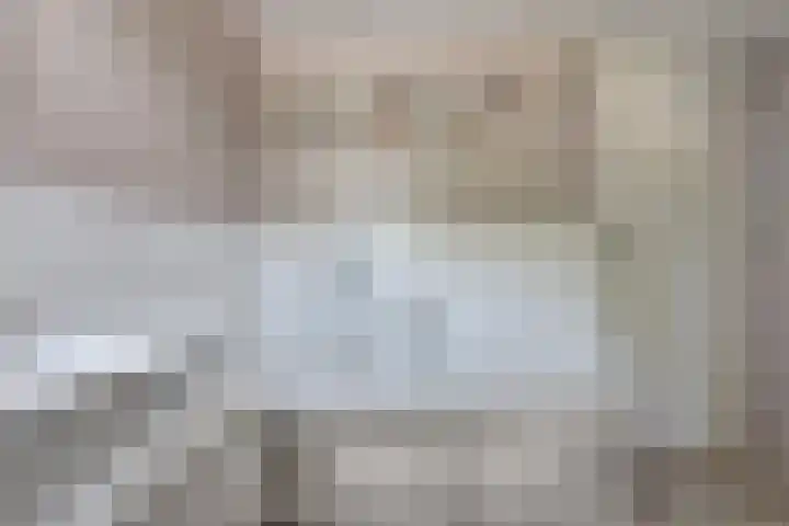 Pluimpot 12 Hansweert thumbnail 20