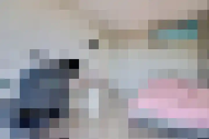 Pluimpot 12 Hansweert thumbnail 25