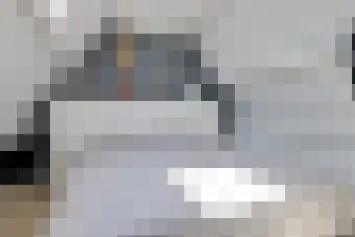Pluimpot 12 Hansweert thumbnail 26