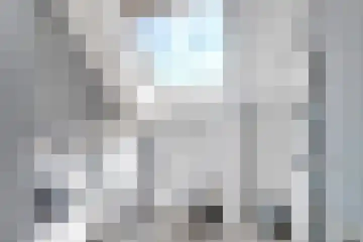 Pluimpot 12 Hansweert thumbnail 29