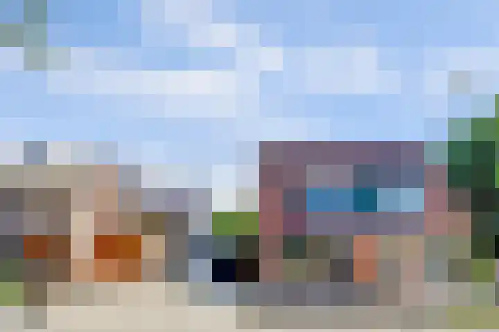 Pluimpot 12 Hansweert foto 3