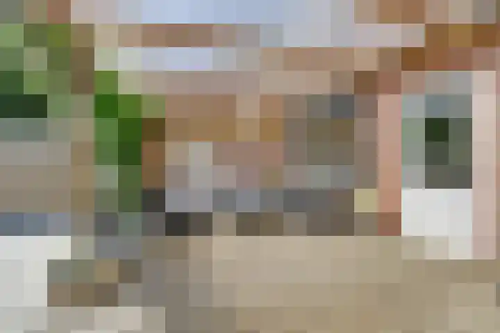 Pluimpot 12 Hansweert thumbnail 32