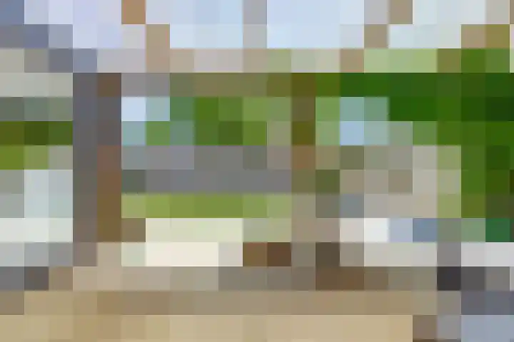 Pluimpot 12 Hansweert thumbnail 33