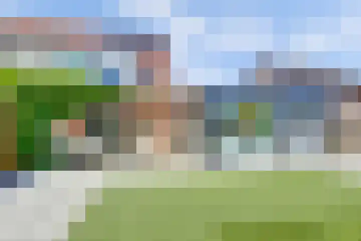 Pluimpot 12 Hansweert thumbnail 34