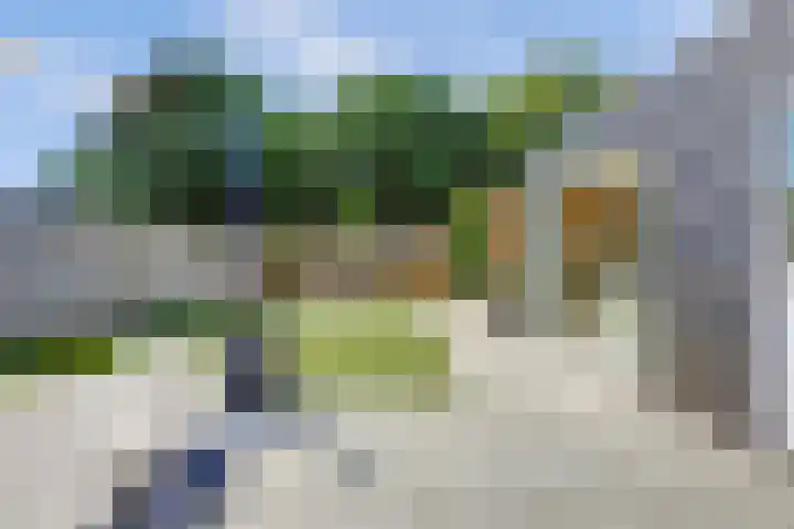 Pluimpot 12 Hansweert thumbnail 35