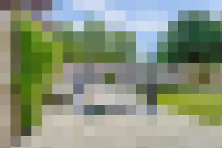Pluimpot 12 Hansweert thumbnail 36