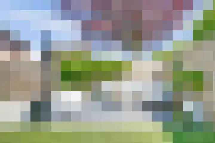 Pluimpot 12 Hansweert thumbnail 37