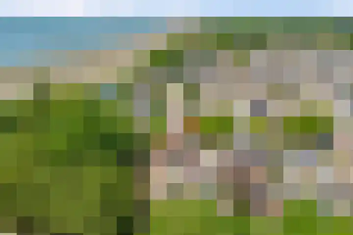 Pluimpot 12 Hansweert thumbnail 38