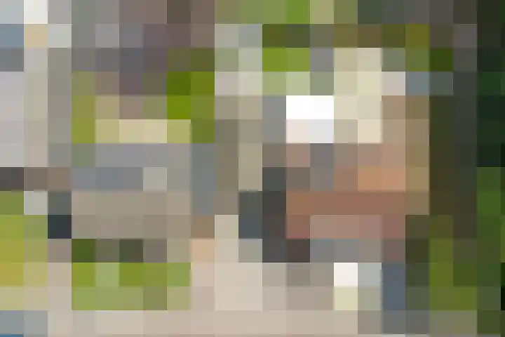 Pluimpot 12 Hansweert thumbnail 40
