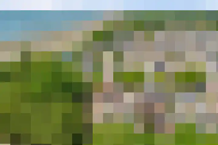 Pluimpot 12 Hansweert thumbnail 41