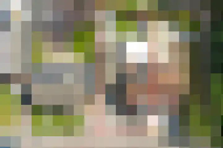 Pluimpot 12 Hansweert thumbnail 42