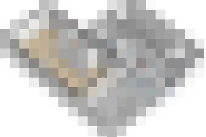 Pluimpot 12 Hansweert thumbnail 47