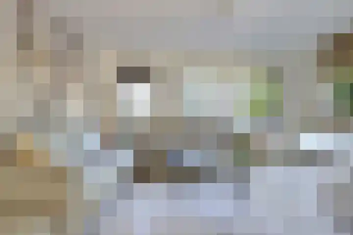 Pluimpot 12 Hansweert thumbnail 5