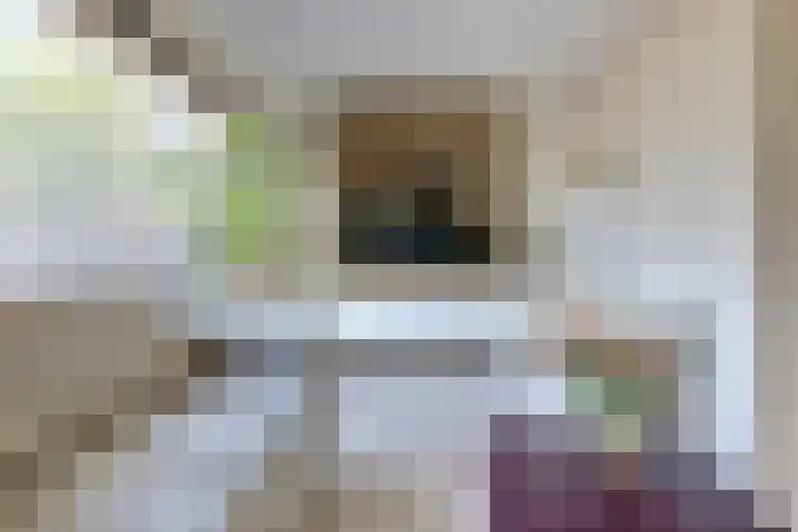 Pluimpot 12 Hansweert thumbnail 6