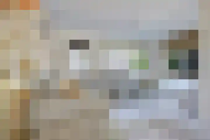 Pluimpot 12 Hansweert thumbnail 8