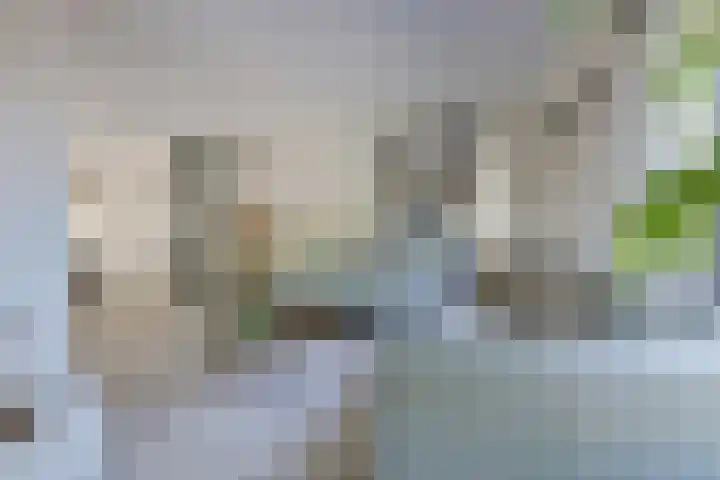 Pluimpot 12 Hansweert thumbnail 9
