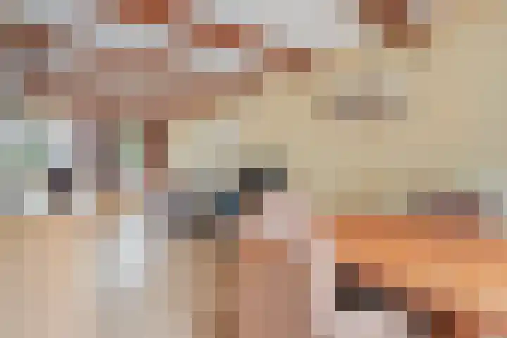 Pluimpot 14 Hansweert thumbnail 12