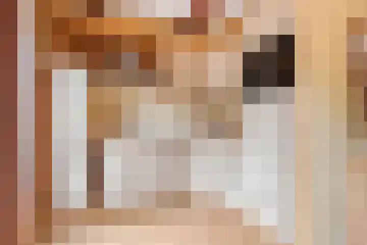Pluimpot 14 Hansweert thumbnail 15