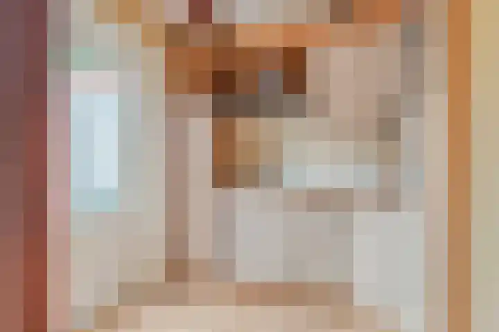 Pluimpot 14 Hansweert thumbnail 16