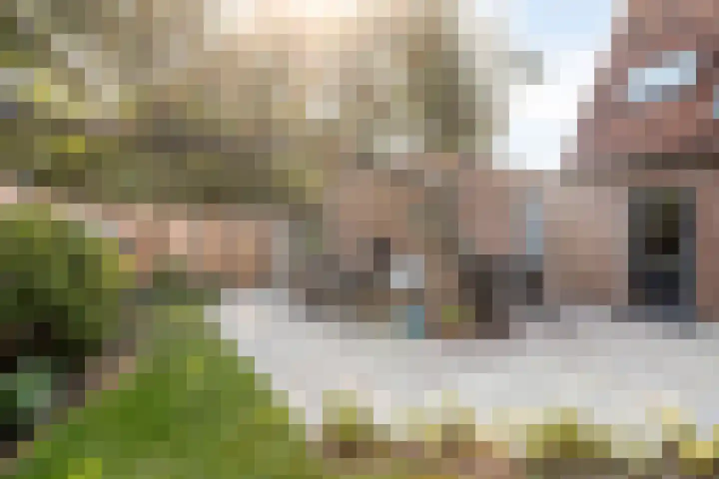 Pluimpot 14 Hansweert thumbnail 25