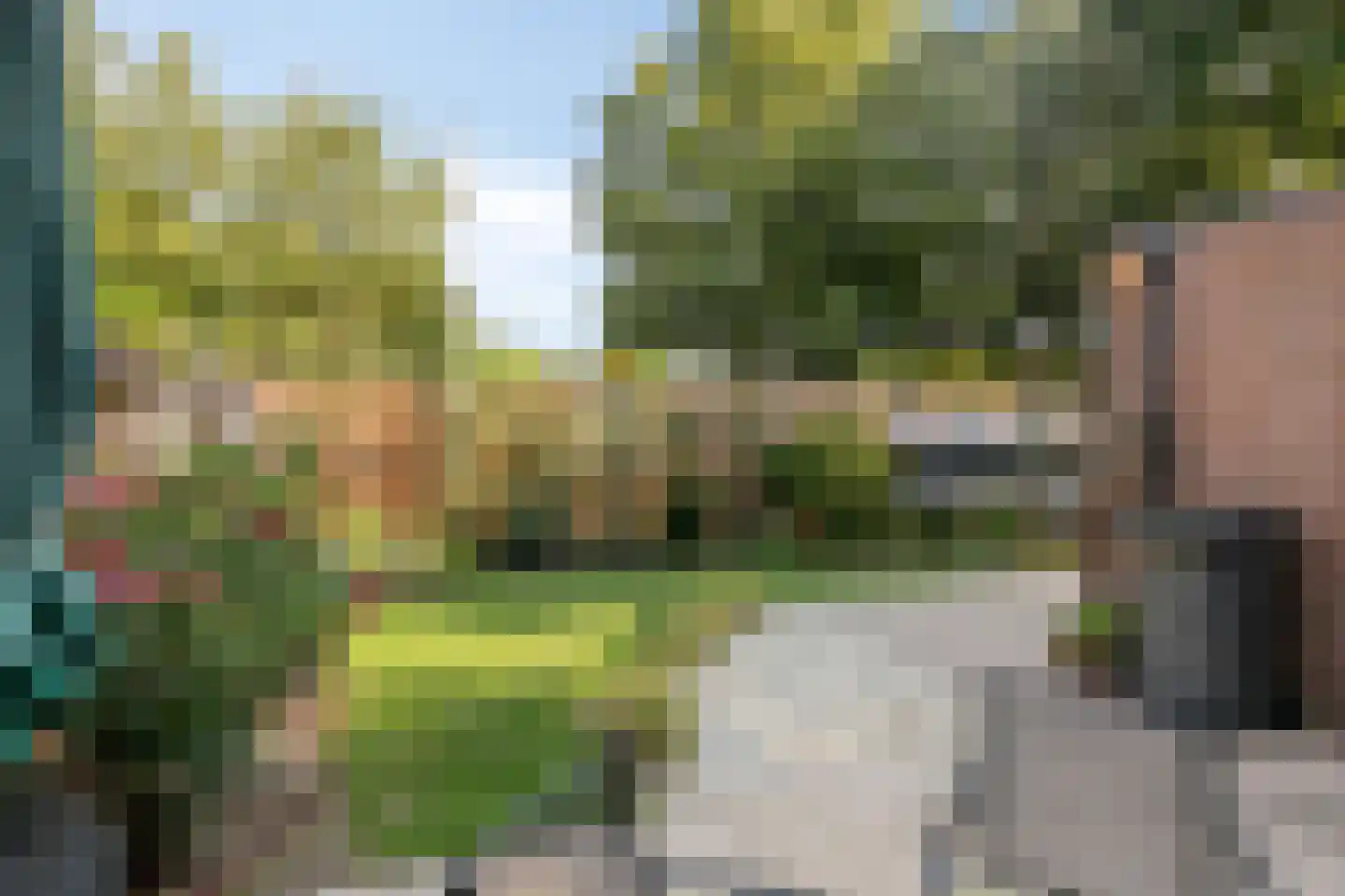 Pluimpot 14 Hansweert thumbnail 26