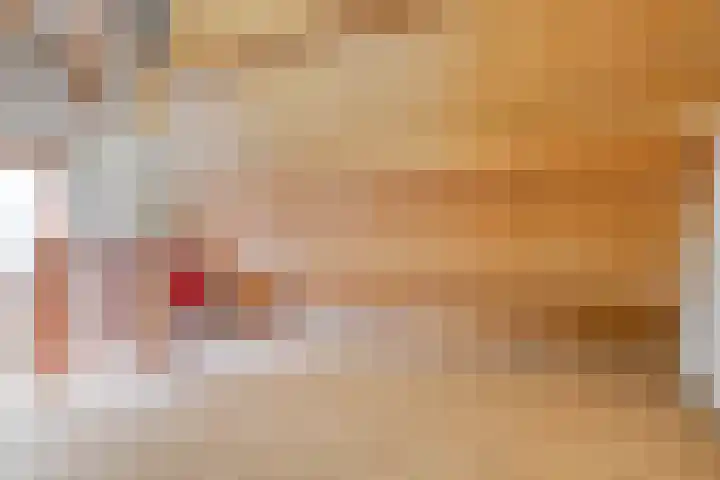 Pluimpot 14 Hansweert thumbnail 28