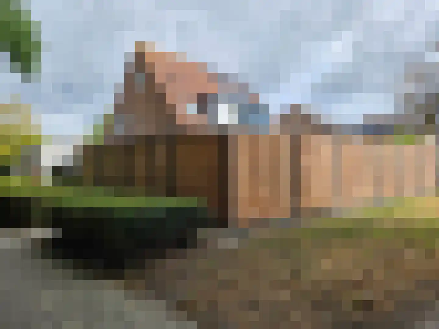 Pluimpot 14 Hansweert thumbnail 30