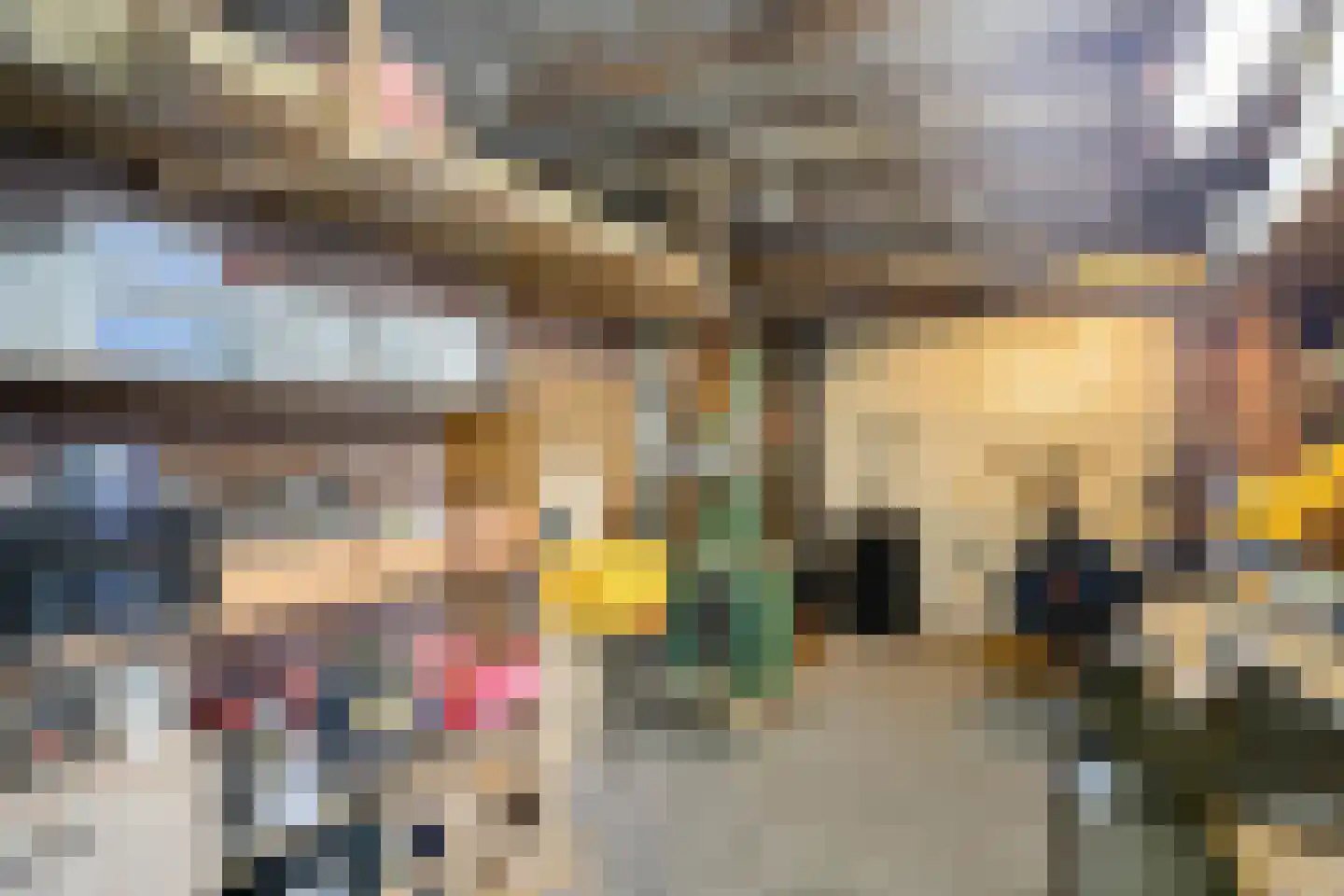 Pluimpot 14 Hansweert thumbnail 31