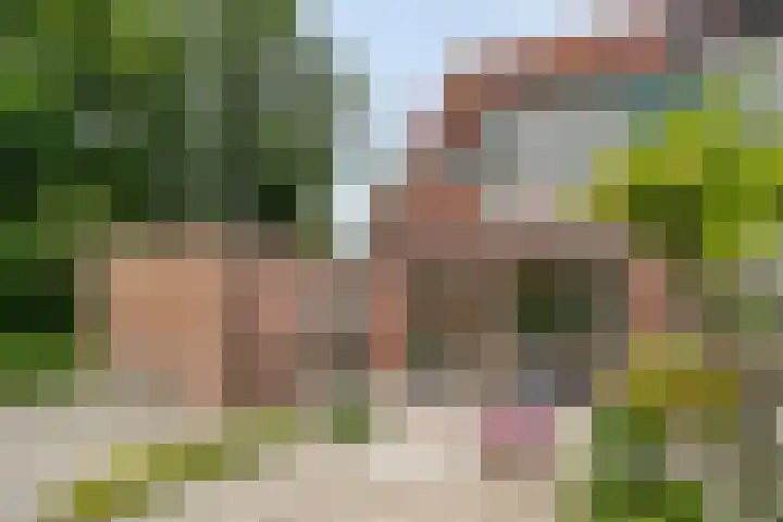 Pluimpot 14 Hansweert thumbnail 32