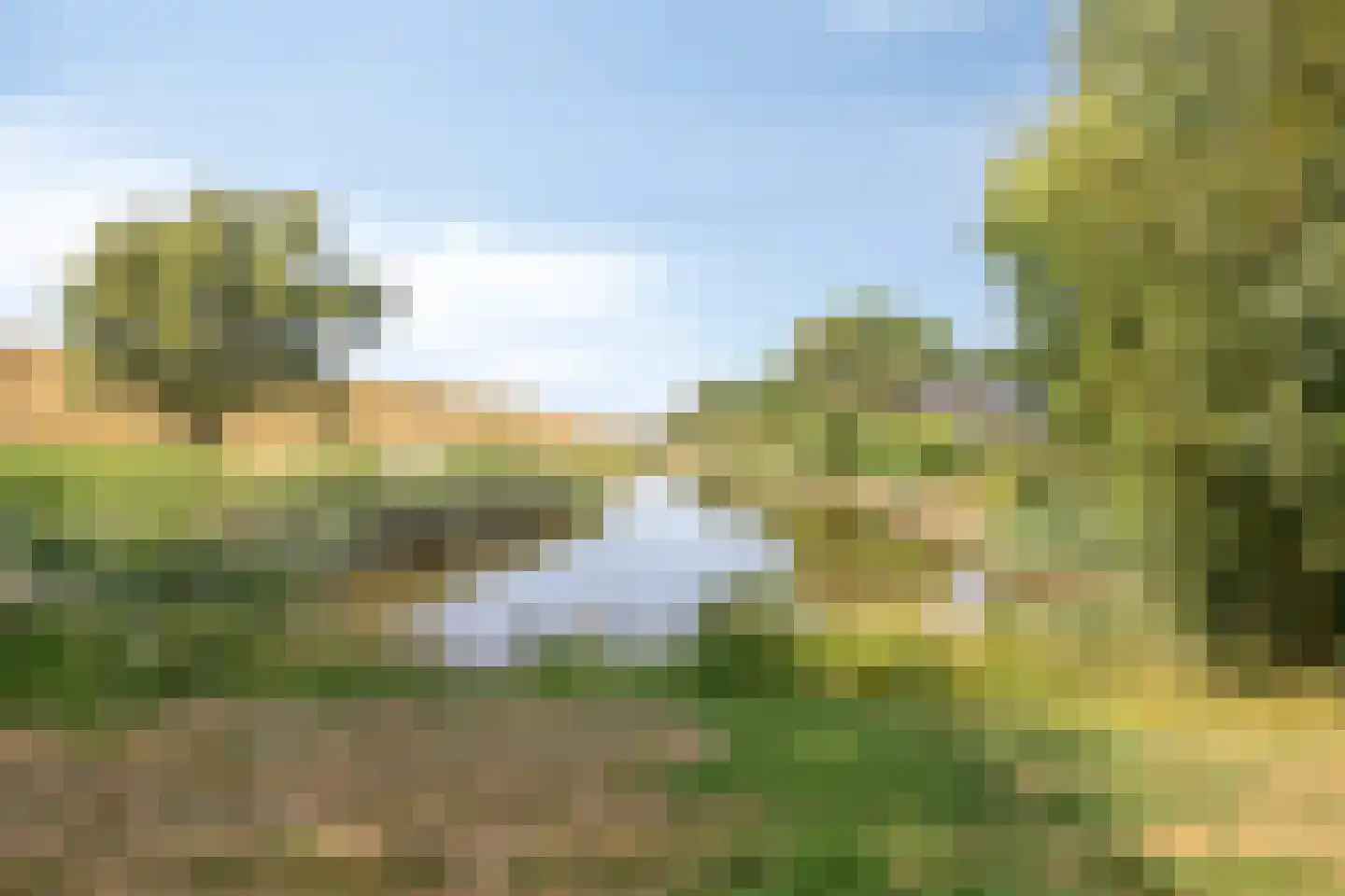 Pluimpot 14 Hansweert thumbnail 32