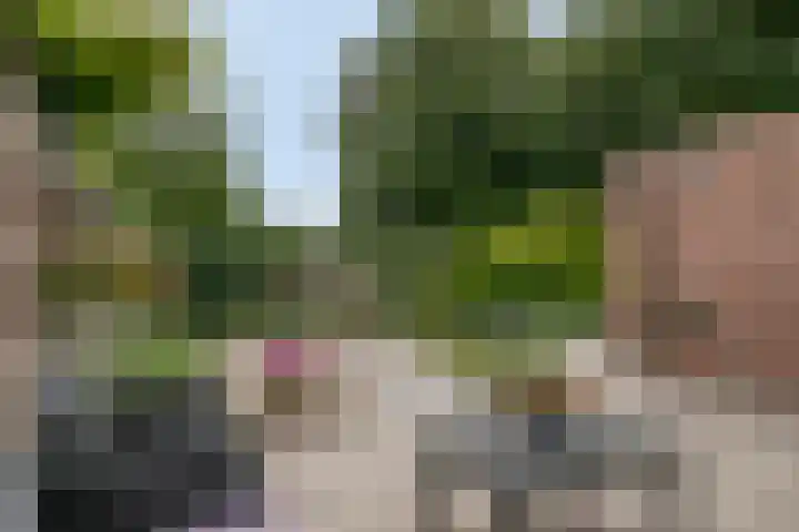 Pluimpot 14 Hansweert thumbnail 34