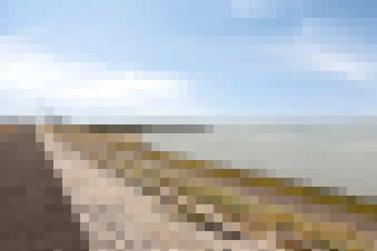 Pluimpot 14 Hansweert thumbnail 35