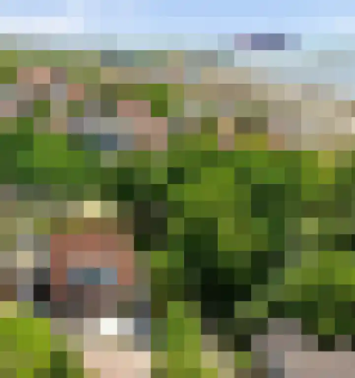 Pluimpot 14 Hansweert thumbnail 37
