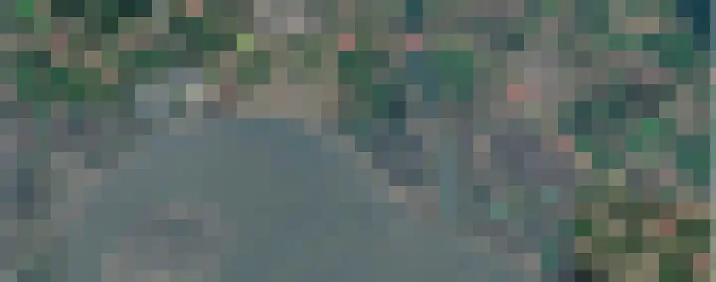 Pluimpot 14 Hansweert thumbnail 38