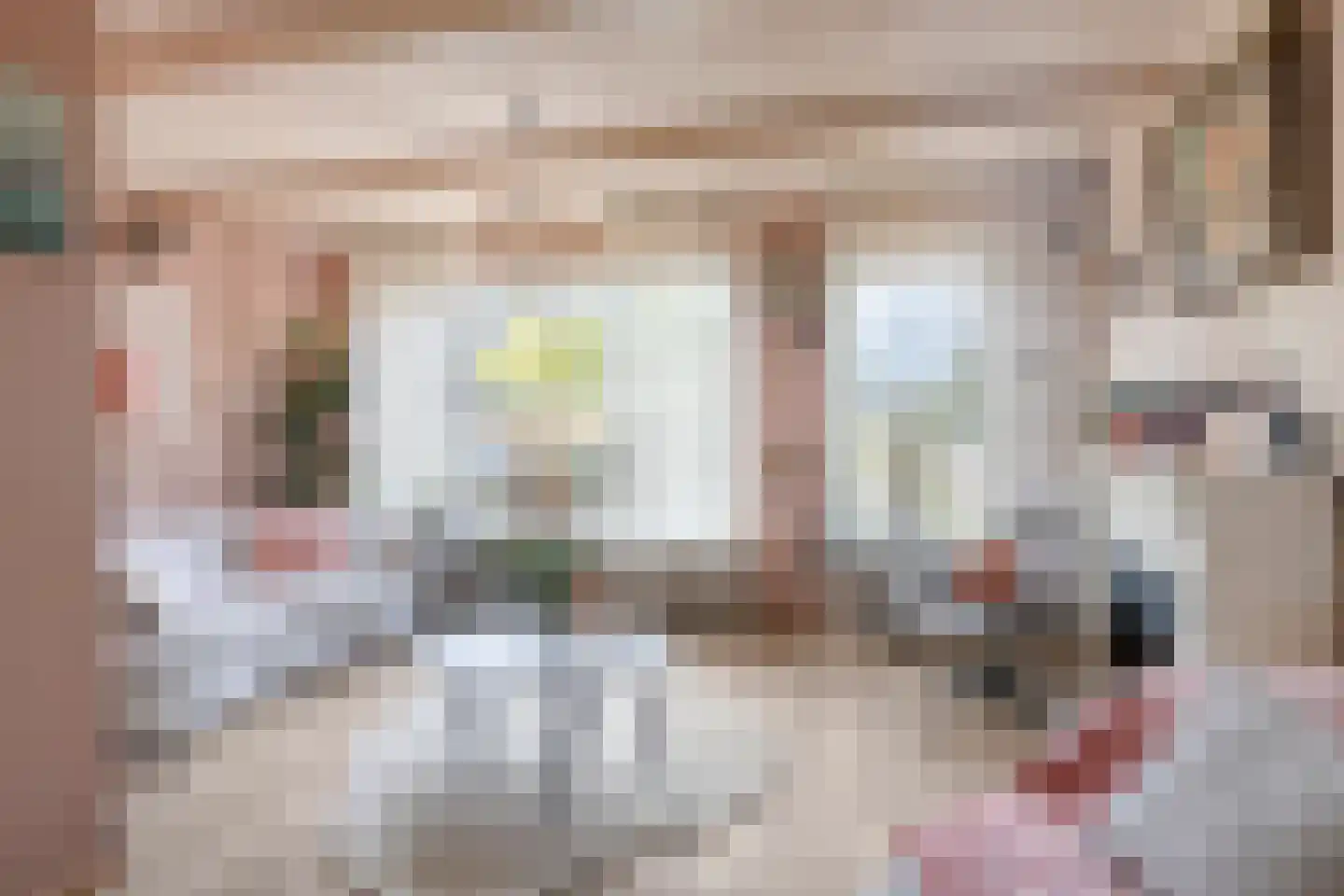 Pluimpot 14 Hansweert thumbnail 4