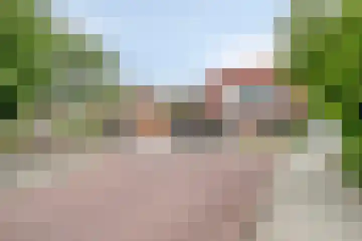 Pluimpot 14 Hansweert thumbnail 40
