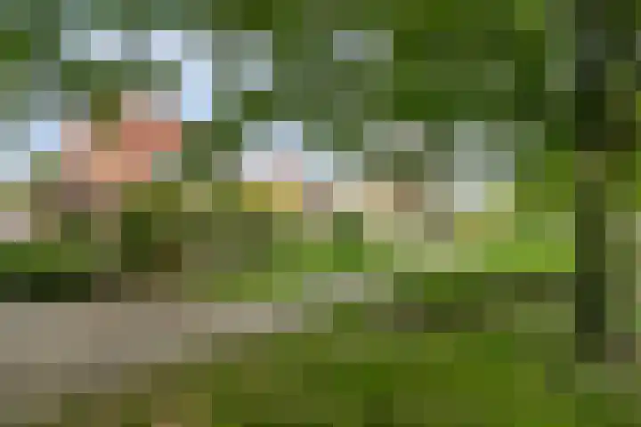 Pluimpot 14 Hansweert thumbnail 41
