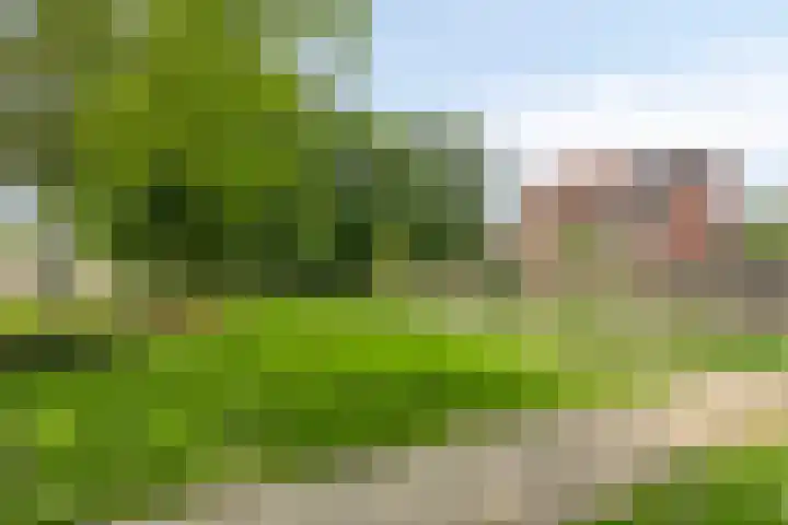Pluimpot 14 Hansweert thumbnail 42